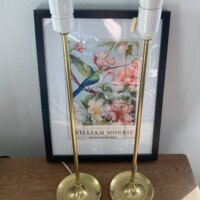 Et par royale Le Klint 307