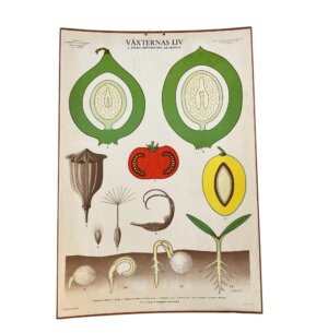 Anskuelsestavle no 2