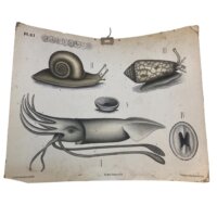 Anskuelsestavle no 3
