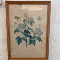 Vintage dansk Flora no 1
