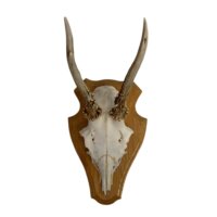 Monteret gevir no 3