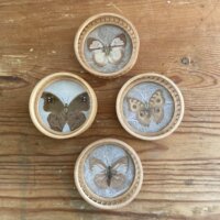 Vintage Coasters med sommerfugle